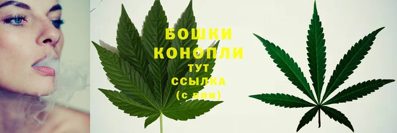 купить  цена  Ирбит  МАРИХУАНА THC 21% 